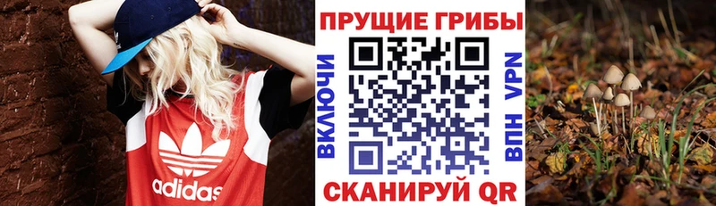 Галлюциногенные грибы Magic Shrooms Рославль