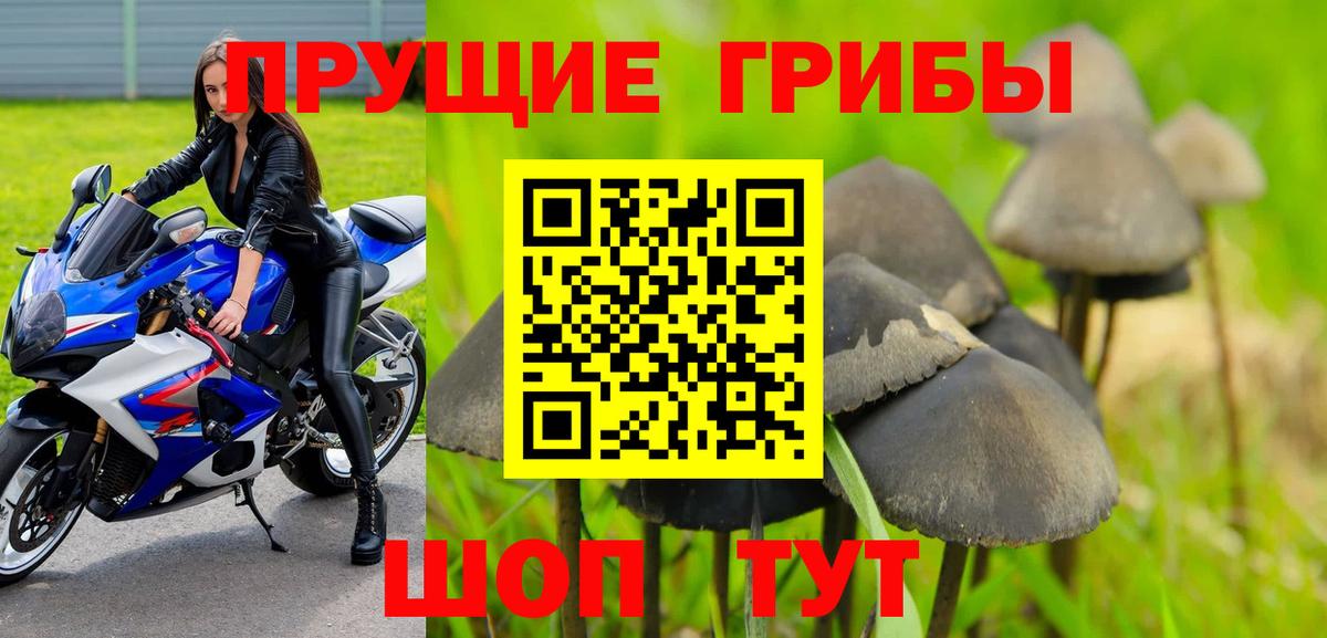 COCAIN Рославль