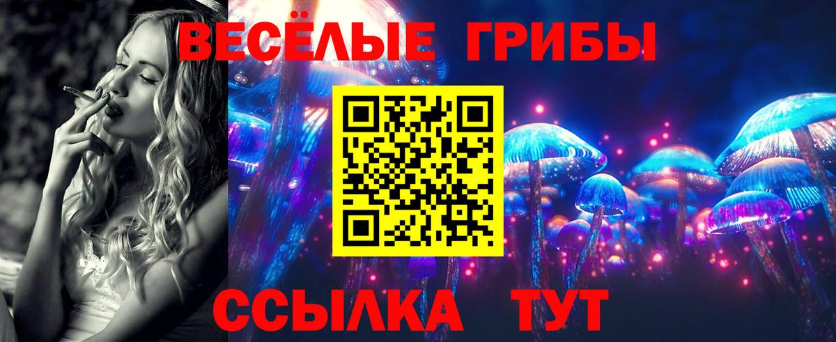 Рославль  где можно купить наркотик  Вход с VPN  Галлюциногенные грибы прущие грибы 