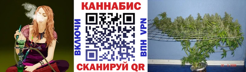 Канабис OG Kush  закладки  Рославль 